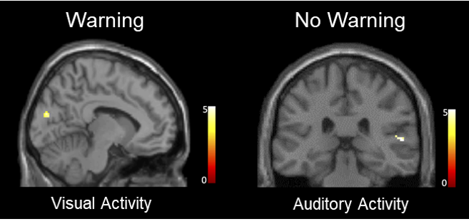 Warning witnesses of the possibility of misinformation helps protect their memory accuracy