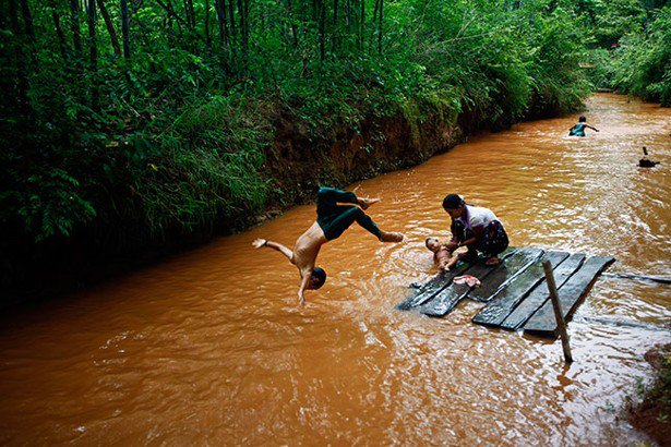 2013: The Year 'the Stream' Crested - Alexis C. Madrigal - The Atlantic
