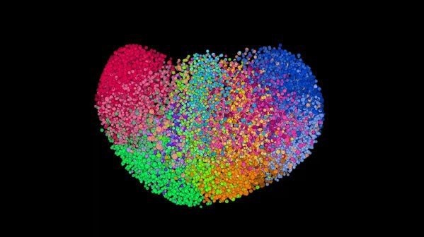 This is what filter bubbles actually look like - MIT Technology Review