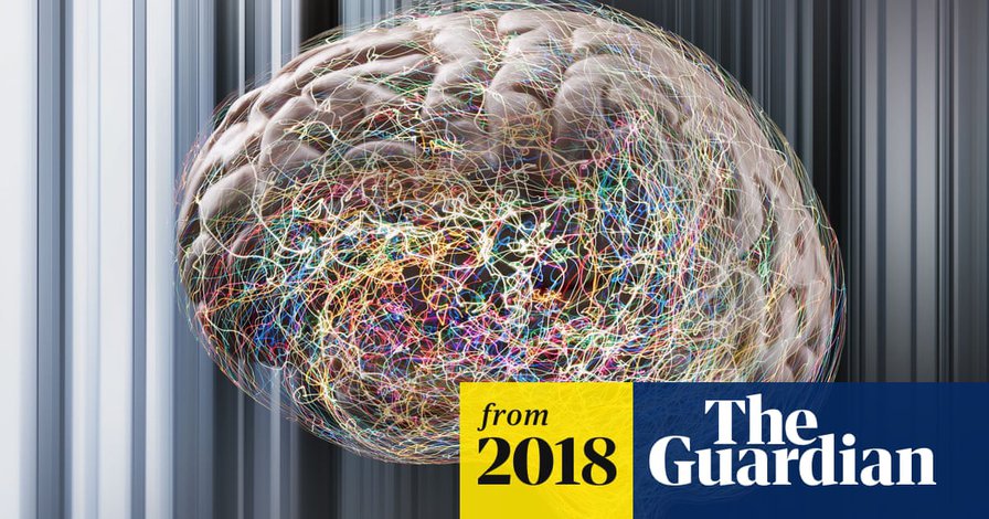 Creative thought has a pattern of its own, brain activity scans reveal | Science | The Guardian