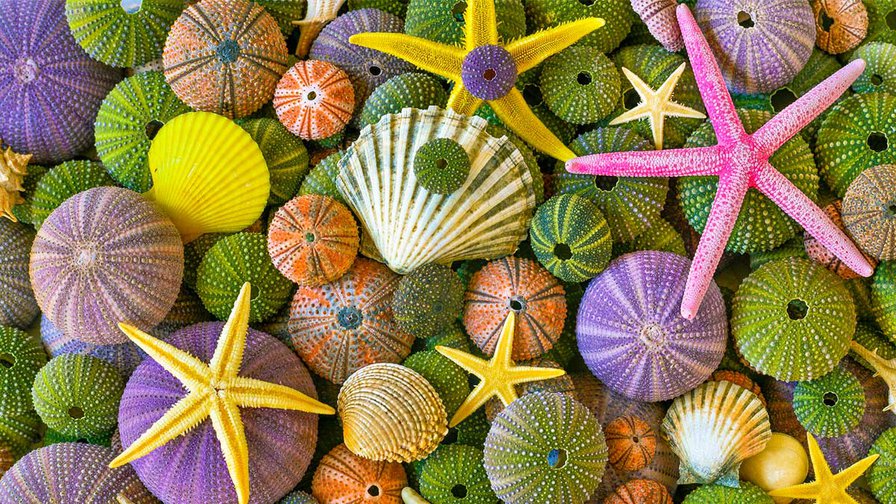 Your Whole Company Needs to Be Distinctive, Not Just Your Product