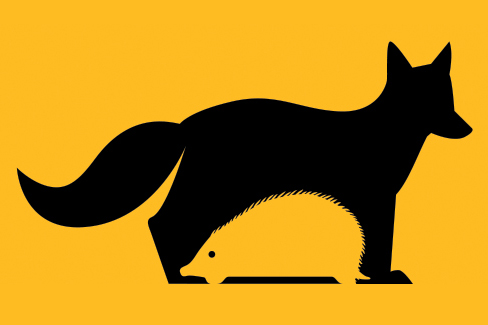 What the Fox Knows